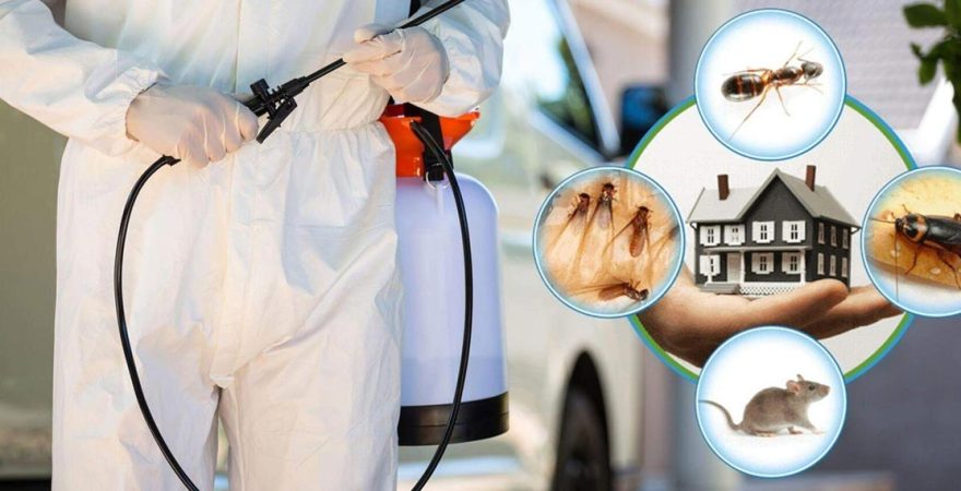 Susurluk Böcek İlaçlama