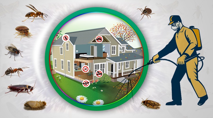 Susurluk Böcek İlaçlama