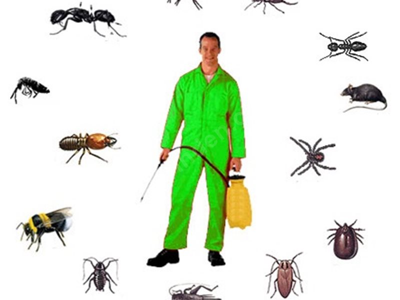 Susurluk Böcek İlaçlama